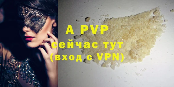дживик Белокуриха