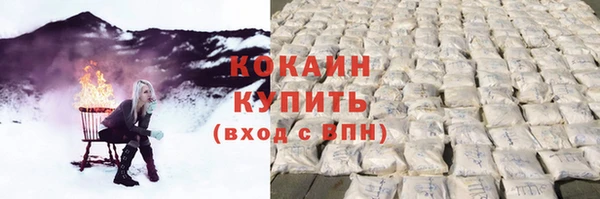 индика Беломорск