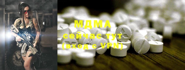 индика Беломорск