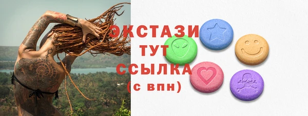 индика Беломорск