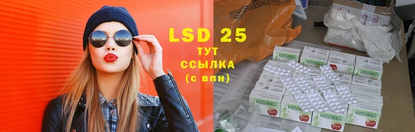 индика Беломорск