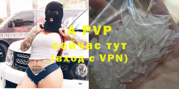 индика Беломорск
